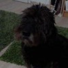 Rassi19's Avatar
