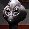 Jul's Avatar
