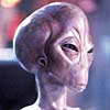 Adam ONeill's Avatar